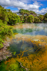 Image showing Hot springs lake in Rotorua, New Zealand