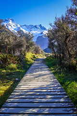 Image showing Hooker Valley Track, Aoraki Mount Cook, New Zealand