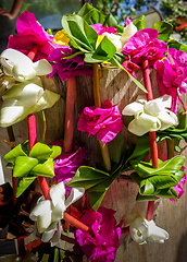 Image showing Polynesian flower necklace