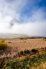 Image showing Mountain fields landscape in New Zealand