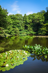 Image showing Yoyogi park pond, Tokyo, Japan