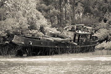 Image showing Old boat on the Tigre river Delta. Buenos Aires