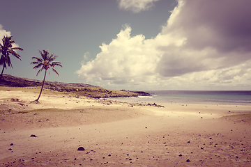 Image showing Palm trees on Anakena beach, easter island