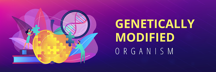 Image showing Genetically modified organism concept banner header.