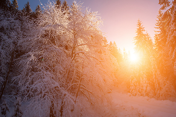 Image showing Snowy country road during  sunset or sunrise