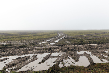 Image showing Car tracks in the field