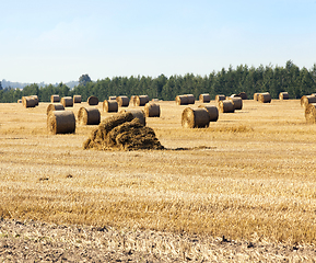 Image showing destroyed straw stack