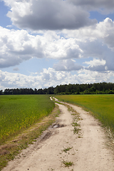 Image showing Country dirt road in the field