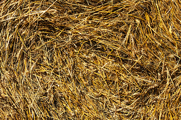 Image showing bail of hay