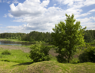 Image showing forest and river