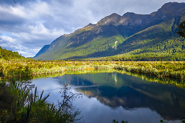 Image showing Lake in Fiordland national park, New Zealand