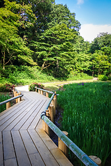 Image showing Meiji jingu inner garden, yoyogi park, Tokyo, Japan