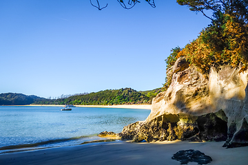 Image showing Creek at sunset in Abel Tasman National Park, New Zealand