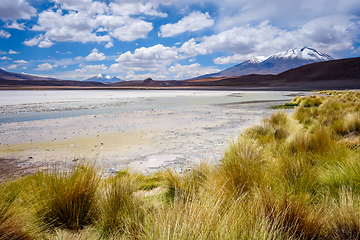 Image showing Laguna Honda in sud Lipez Altiplano reserva, Bolivia