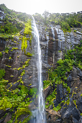 Image showing Waterfall in Milford Sound lake, New Zealand