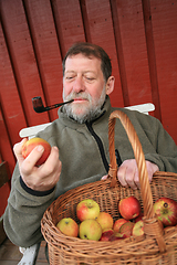 Image showing Mature scandinavian man outdoor with apples 