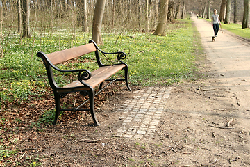 Image showing bench