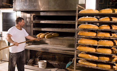 Image showing bakery worker taking out freshly baked breads