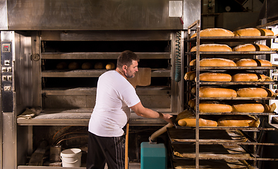 Image showing bakery worker taking out freshly baked breads