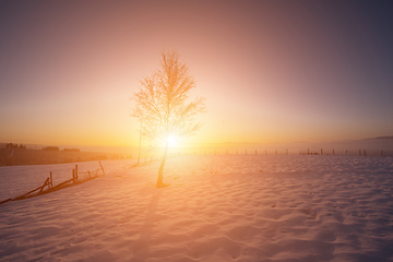 Image showing Beautiful winter landscape