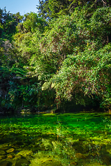 Image showing River in Abel Tasman National Park, New Zealand