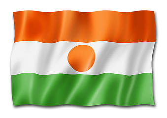 Image showing Niger flag isolated on white