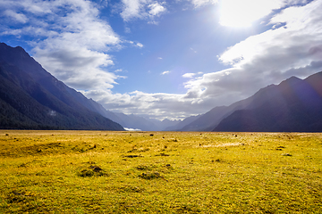 Image showing Fiordland national park, New Zealand