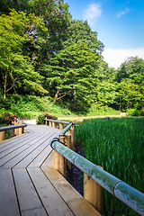 Image showing Meiji jingu inner garden, yoyogi park, Tokyo, Japan