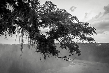 Image showing Parana river at iguazu falls