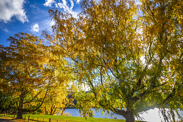 Image showing Lake Wakatipu, New Zealand