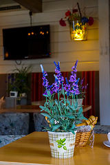 Image showing Decoration with flowers in cafe.