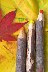 Image showing pencils