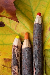 Image showing pencils