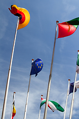 Image showing Many europeans flags in the wind against the sky