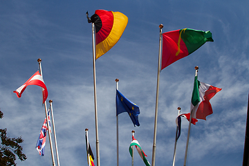 Image showing Many europeans flags in the wind against the sky