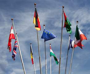 Image showing Many europeans flags in the wind against the sky