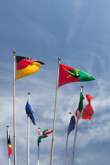 Image showing Many europeans flags in the wind against the sky