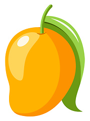 Image showing Mango, vector color illustration.