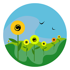 Image showing Portrait of sunflowers in a field vector or color illustration