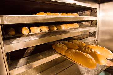 Image showing Baked bread in the bakery