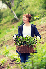 Image showing woman gardening