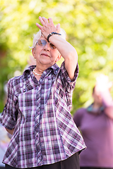 Image showing senior woman exercising with friends