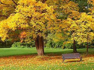 Image showing City park in autumn