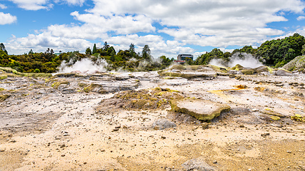 Image showing Geyser in New Zealand Rotorua