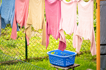 Image showing Laundry on the clothesline