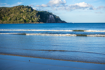 Image showing Bay Of Plenty