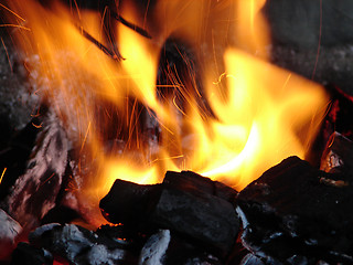 Image showing Burning coals