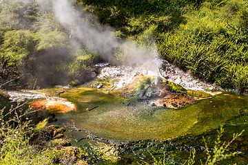 Image showing volcanic activities at waimangu