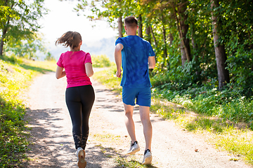 Image showing young couple jogging on sunny day at nature