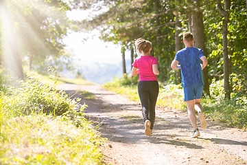 Image showing young couple jogging on sunny day at nature